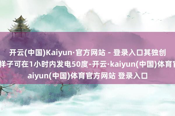 开云(中国)Kaiyun·官方网站 - 登录入口其独创的SAVE强制保电样子可在1小时内发电50度-开云·kaiyun(中国)体育官方网站 登录入口