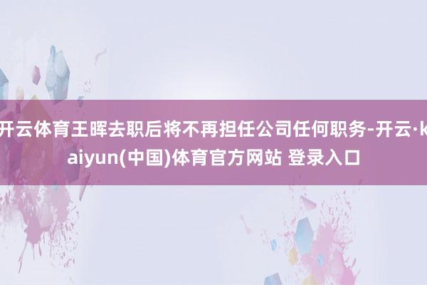 开云体育王晖去职后将不再担任公司任何职务-开云·kaiyun(中国)体育官方网站 登录入口