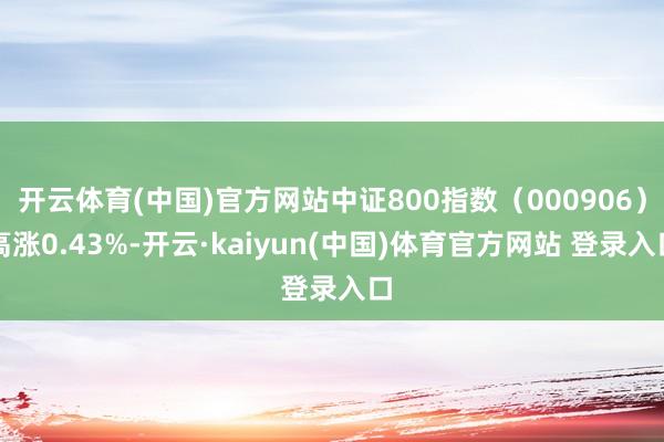 开云体育(中国)官方网站中证800指数（000906）高涨0.43%-开云·kaiyun(中国)体育官方网站 登录入口