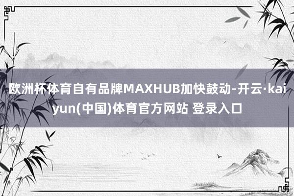 欧洲杯体育自有品牌MAXHUB加快鼓动-开云·kaiyun(中国)体育官方网站 登录入口
