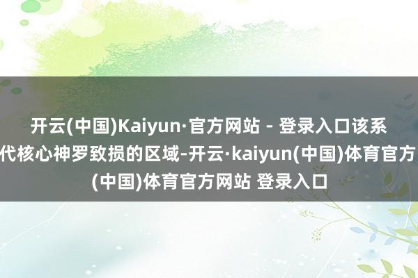 开云(中国)Kaiyun·官方网站 - 登录入口该系统可绕过并替代核心神罗致损的区域-开云·kaiyun(中国)体育官方网站 登录入口
