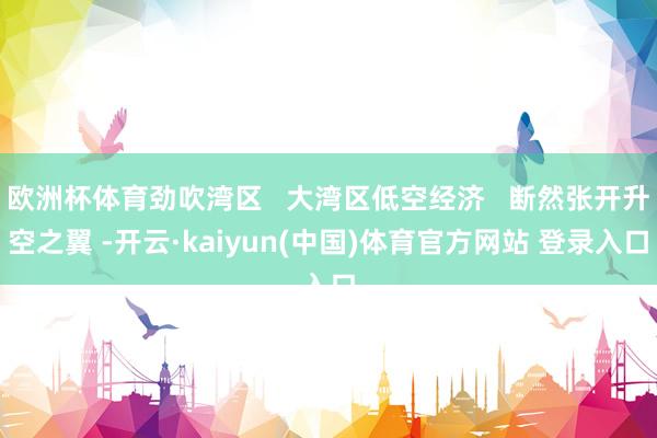 欧洲杯体育劲吹湾区   大湾区低空经济   断然张开升空之翼 -开云·kaiyun(中国)体育官方网站 登录入口