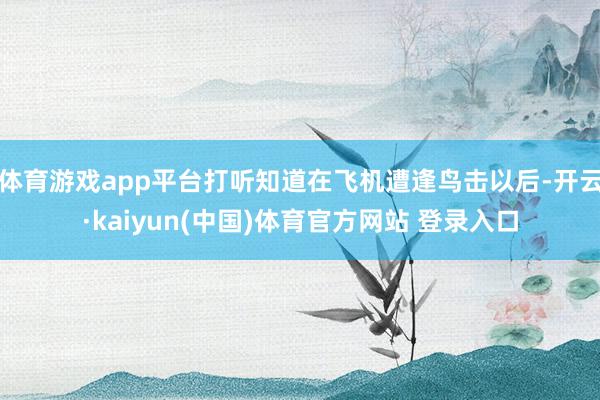 体育游戏app平台打听知道在飞机遭逢鸟击以后-开云·kaiyun(中国)体育官方网站 登录入口