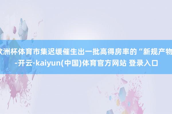 欧洲杯体育市集迟缓催生出一批高得房率的“新规产物”-开云·kaiyun(中国)体育官方网站 登录入口